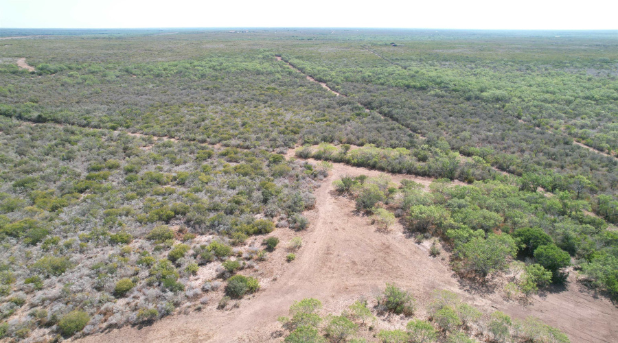 0 A-212 GT J & V FLORES, San Diego, Texas 78384, ,Land,For Sale,0 A-212 GT J & V FLORES,20264610