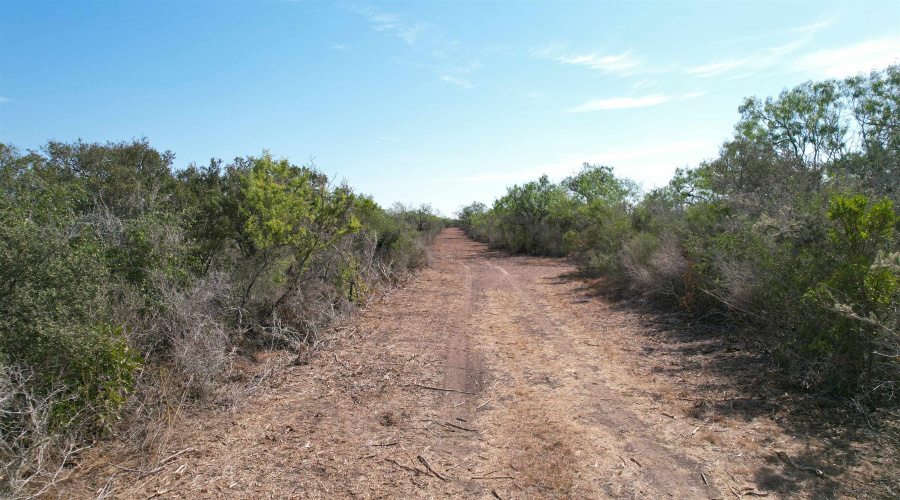 0 A-212 GT J & V FLORES, San Diego, Texas 78384, ,Land,For Sale,0 A-212 GT J & V FLORES,20264610
