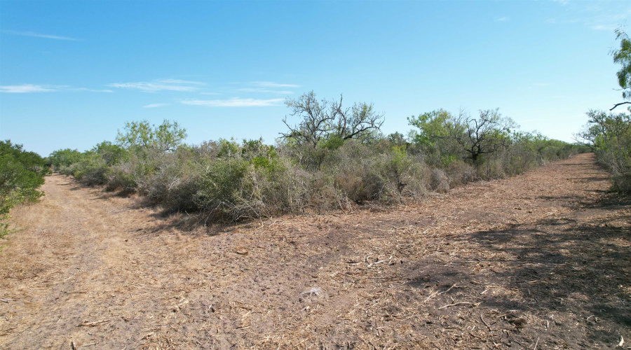 0 A-212 GT J & V FLORES, San Diego, Texas 78384, ,Land,For Sale,0 A-212 GT J & V FLORES,20264610