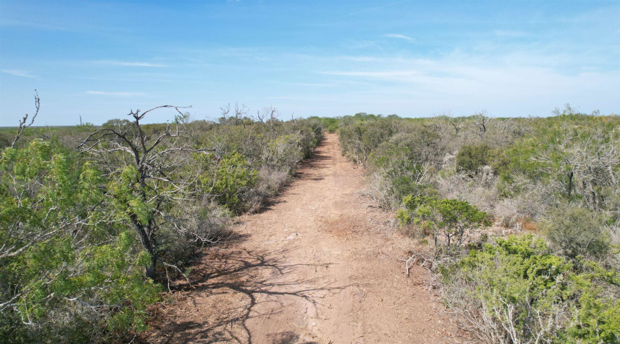 0 A-212 GT J & V FLORES, San Diego, Texas 78384, ,Land,For Sale,0 A-212 GT J & V FLORES,20264610