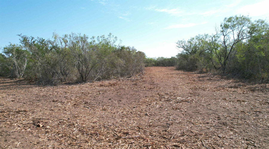 0 A-212 GT J & V FLORES, San Diego, Texas 78384, ,Land,For Sale,0 A-212 GT J & V FLORES,20264610