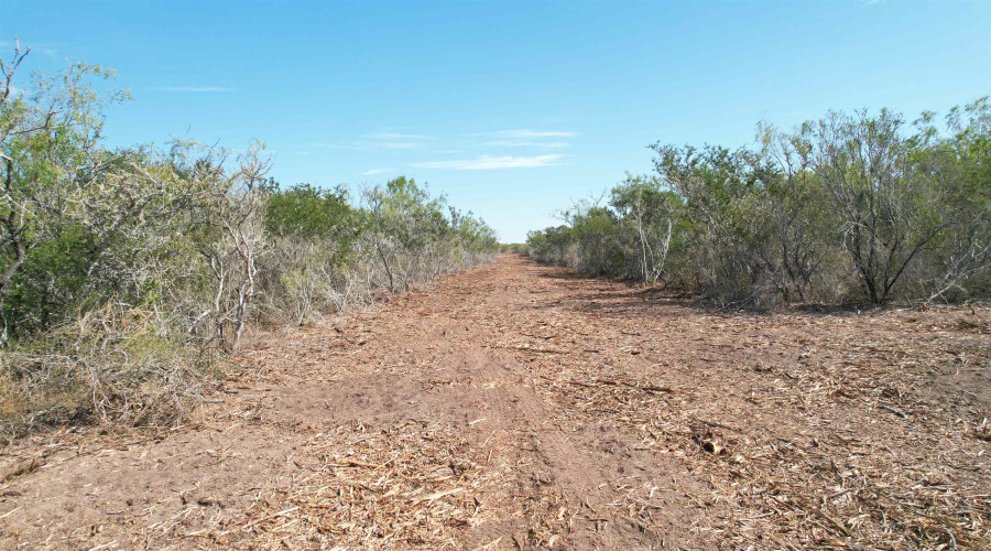 0 A-212 GT J & V FLORES, San Diego, Texas 78384, ,Land,For Sale,0 A-212 GT J & V FLORES,20264610