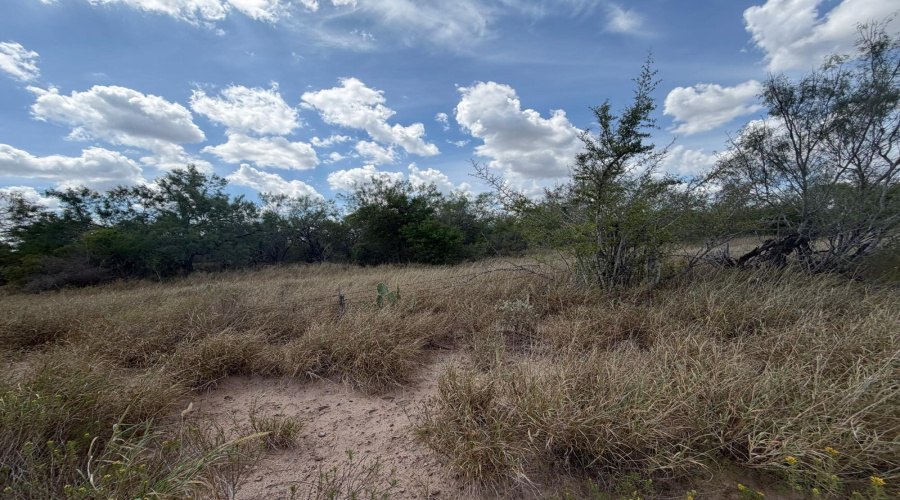 ABST 151, Zapata, Texas 00000, ,Land,For Sale,ABST 151,20264626