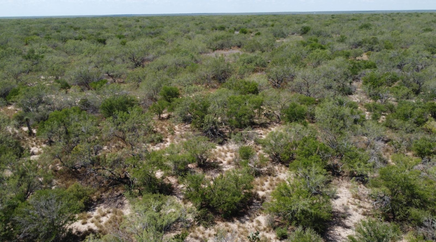 ABST 151, Zapata, Texas 00000, ,Land,For Sale,ABST 151,20264626