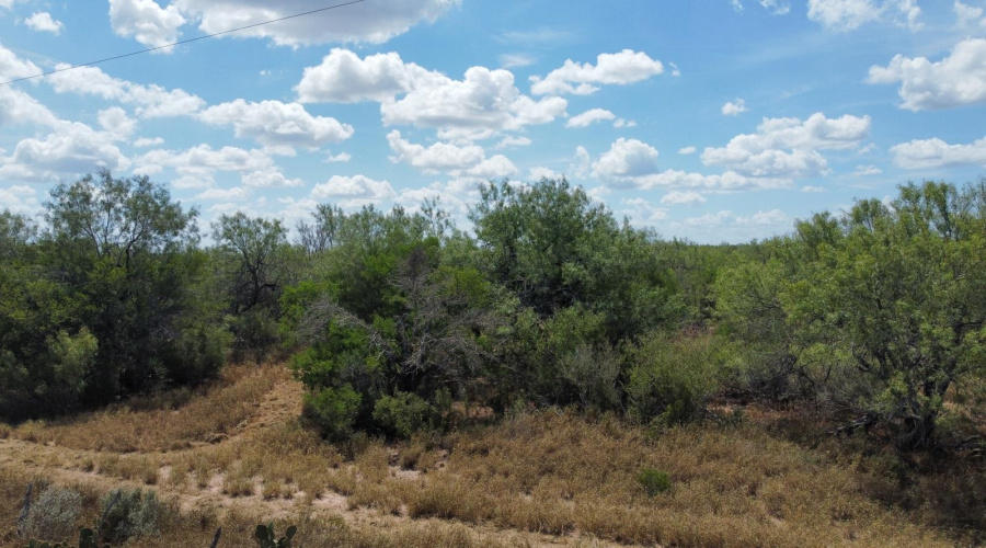 ABST 151, Zapata, Texas 00000, ,Land,For Sale,ABST 151,20264626