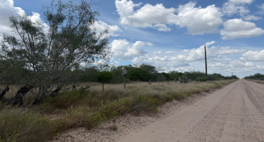 ABST 151, Zapata, Texas 00000, ,Land,For Sale,ABST 151,20264626