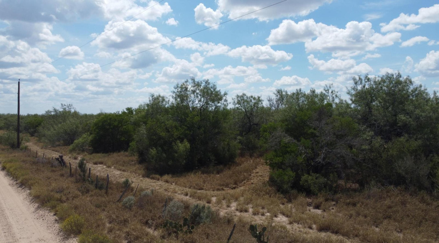 ABST 151, Zapata, Texas 00000, ,Land,For Sale,ABST 151,20264626