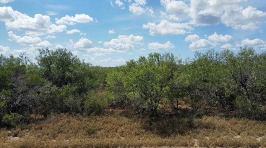 ABST 151, Zapata, Texas 00000, ,Land,For Sale,ABST 151,20264626
