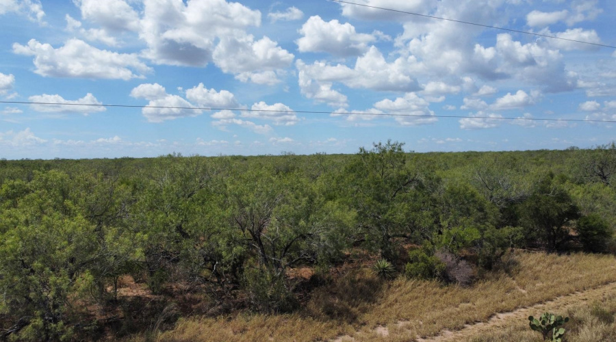 ABST 151, Zapata, Texas 00000, ,Land,For Sale,ABST 151,20264626
