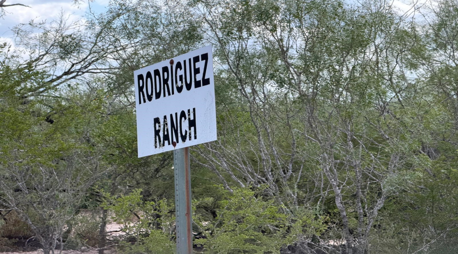 ABST 151, Zapata, Texas 00000, ,Land,For Sale,ABST 151,20264626