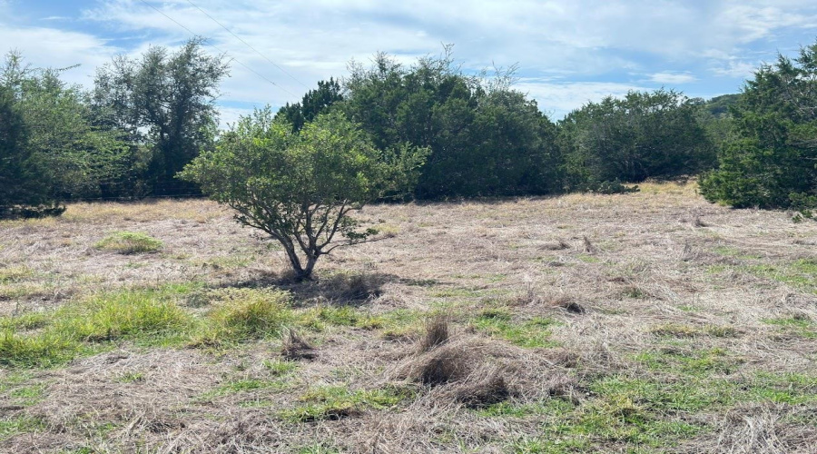 WC408 Ranch Rd, UVALDE, Texas 78801, ,Land,For Sale,WC408 Ranch Rd,20264658