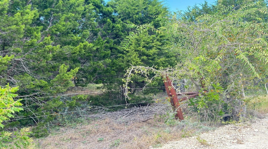 WC408 Ranch Rd, UVALDE, Texas 78801, ,Land,For Sale,WC408 Ranch Rd,20264658