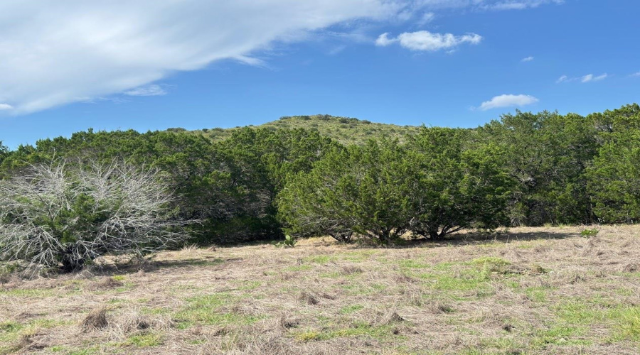 WC408 Ranch Rd, UVALDE, Texas 78801, ,Land,For Sale,WC408 Ranch Rd,20264658