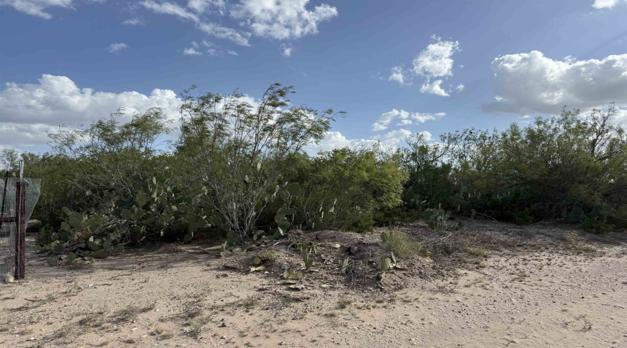 000 Las Pilas Rd., Laredo, Texas 78044, ,Land,For Sale,000 Las Pilas Rd.,20264691