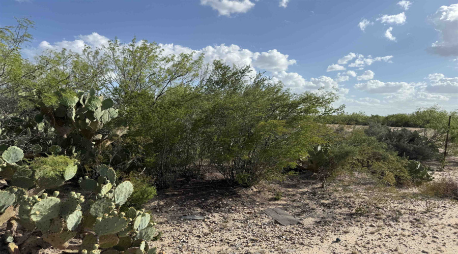 000 Las Pilas Rd., Laredo, Texas 78044, ,Land,For Sale,000 Las Pilas Rd.,20264691