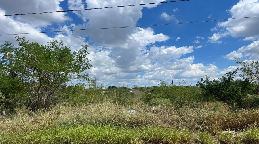 5120 Laredo Ln, Zapata, Texas 78076, ,Land,For Sale,5120 Laredo Ln,20264699