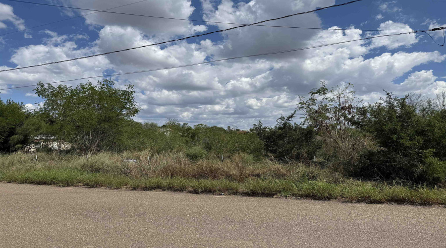 5120 Laredo Ln, Zapata, Texas 78076, ,Land,For Sale,5120 Laredo Ln,20264699