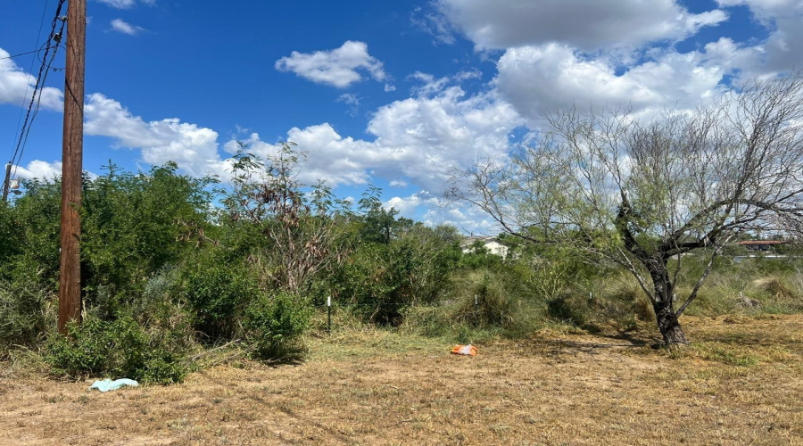 5120 Laredo Ln, Zapata, Texas 78076, ,Land,For Sale,5120 Laredo Ln,20264699