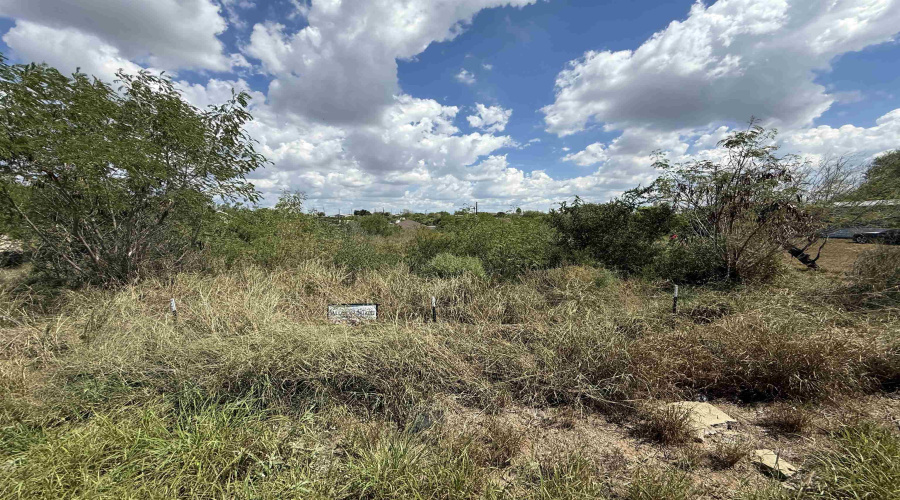 5120 Laredo Ln, Zapata, Texas 78076, ,Land,For Sale,5120 Laredo Ln,20264699