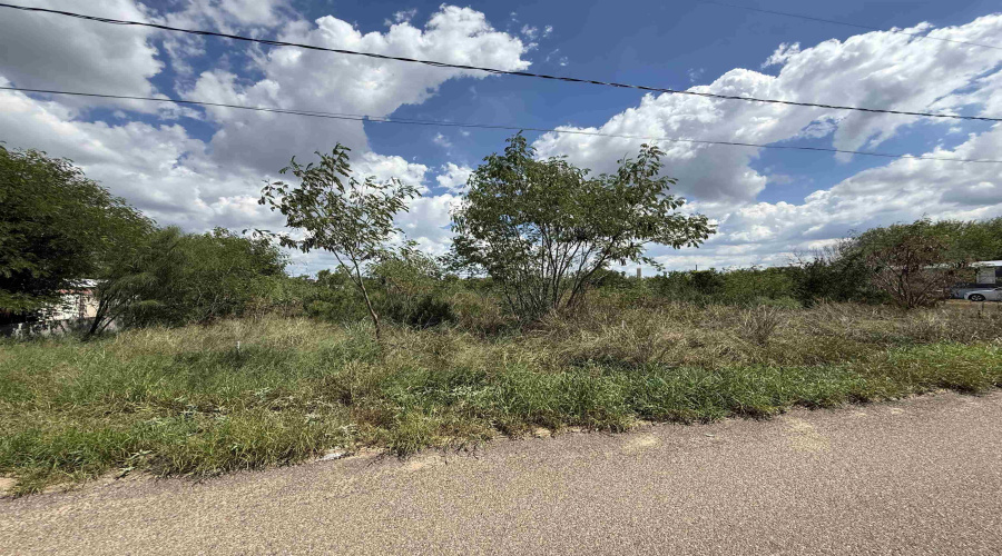 5120 Laredo Ln, Zapata, Texas 78076, ,Land,For Sale,5120 Laredo Ln,20264699