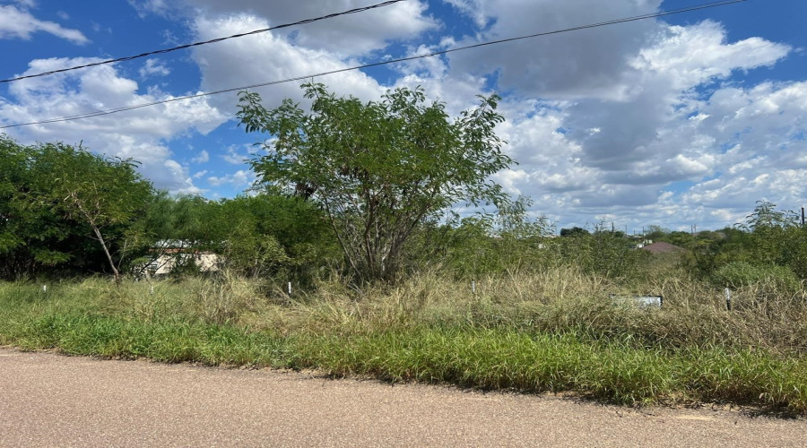 5120 Laredo Ln, Zapata, Texas 78076, ,Land,For Sale,5120 Laredo Ln,20264699