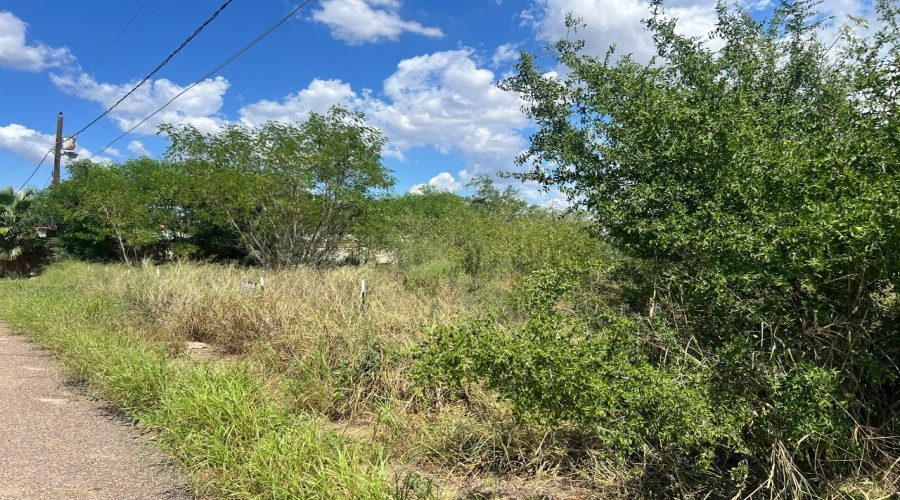 5120 Laredo Ln, Zapata, Texas 78076, ,Land,For Sale,5120 Laredo Ln,20264699