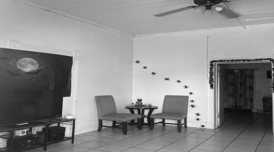 1801 Hidalgo St, Laredo, Texas 78040, ,Multi-family,For Sale,1801 Hidalgo St,20264804