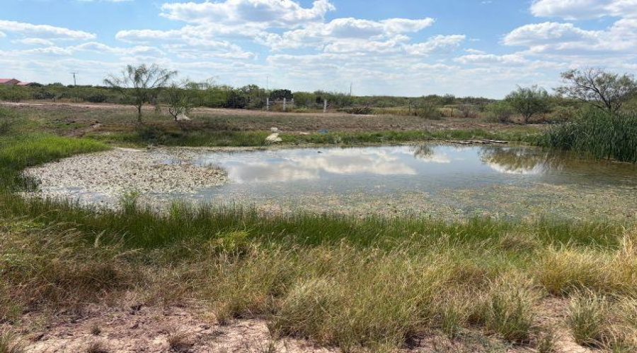 24 Tract Camino del Sur, Laredo, Texas 78044-3835, ,Land,For Sale,24 Tract Camino del Sur,20264807