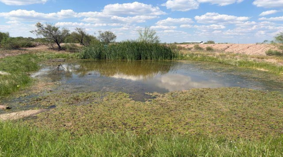 24 Tract Camino del Sur, Laredo, Texas 78044-3835, ,Land,For Sale,24 Tract Camino del Sur,20264807
