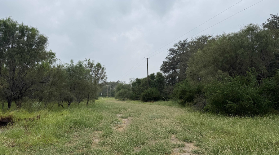 37 Nueces River Ranch Rd., Crystal City, Texas 78839, ,Land,For Sale,37 Nueces River Ranch Rd.,20264812