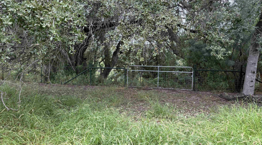 37 Nueces River Ranch Rd., Crystal City, Texas 78839, ,Land,For Sale,37 Nueces River Ranch Rd.,20264812