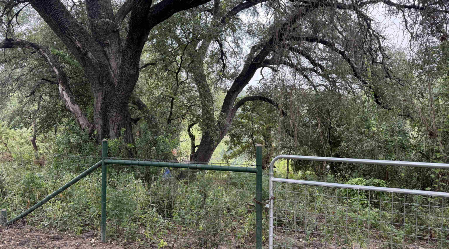 37 Nueces River Ranch Rd., Crystal City, Texas 78839, ,Land,For Sale,37 Nueces River Ranch Rd.,20264812