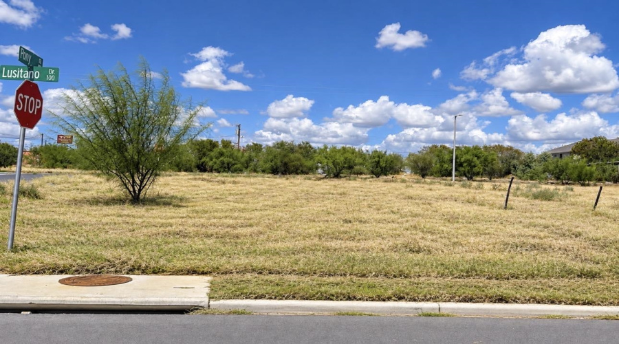 102 Lusitano Dr., Laredo, Texas 78046, ,Land,For Sale,102 Lusitano Dr.,20264815