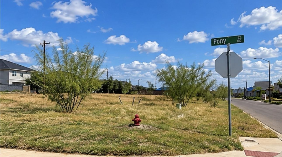 102 Lusitano Dr., Laredo, Texas 78046, ,Land,For Sale,102 Lusitano Dr.,20264815