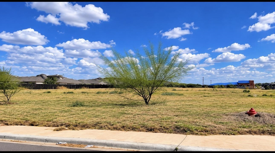 102 Lusitano Dr., Laredo, Texas 78046, ,Land,For Sale,102 Lusitano Dr.,20264815