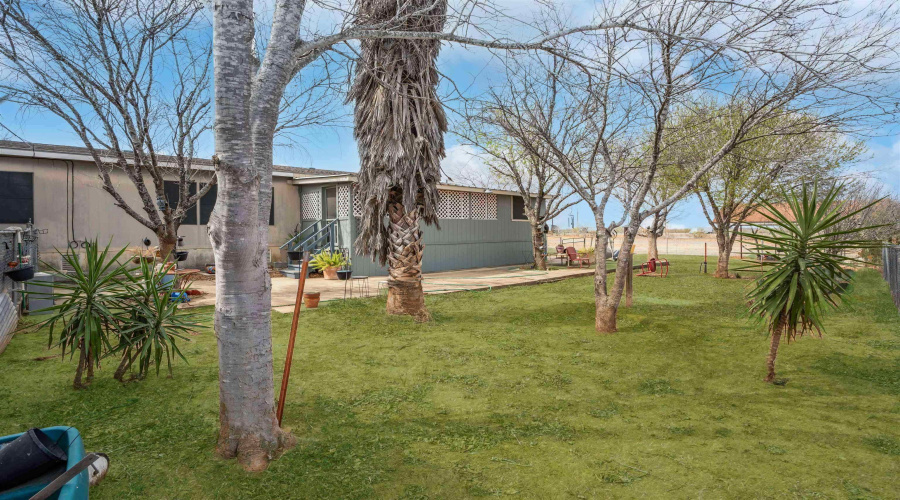 25189 IH 35 Frontage, Encinal, Texas 78019, ,Land,For Sale,25189 IH 35 Frontage,20264849