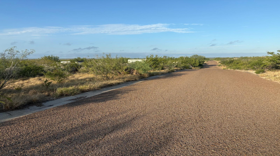 HWY 83 SO/Mangana-Hein Rd., LAREDO, Texas 78043, ,Land,For Sale,HWY 83 SO/Mangana-Hein Rd.,20264858