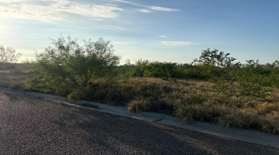 HWY 83 SO/Mangana-Hein Rd., LAREDO, Texas 78043, ,Land,For Sale,HWY 83 SO/Mangana-Hein Rd.,20264858
