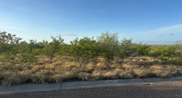 HWY 83 SO/Mangana-Hein Rd., LAREDO, Texas 78043, ,Land,For Sale,HWY 83 SO/Mangana-Hein Rd.,20264858 HWY 83 SO/Mangana-Hein Rd., LAREDO, Texas 78043, ,Land,For Sale,HWY 83 SO/Mangana-Hein Rd.,20264858