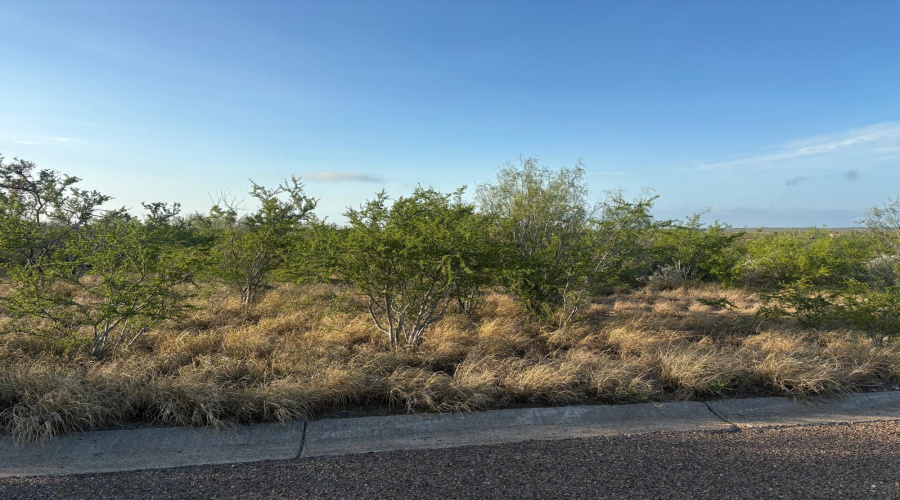 HWY 83 SO/Mangana-Hein Rd., LAREDO, Texas 78043, ,Land,For Sale,HWY 83 SO/Mangana-Hein Rd.,20264858
