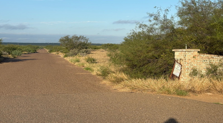 HWY 83 SO/Mangana-Hein Rd., LAREDO, Texas 78043, ,Land,For Sale,HWY 83 SO/Mangana-Hein Rd.,20264858