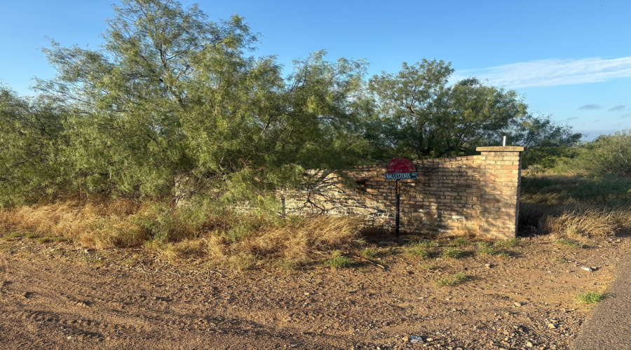 HWY 83 SO/Mangana-Hein Rd., LAREDO, Texas 78043, ,Land,For Sale,HWY 83 SO/Mangana-Hein Rd.,20264858